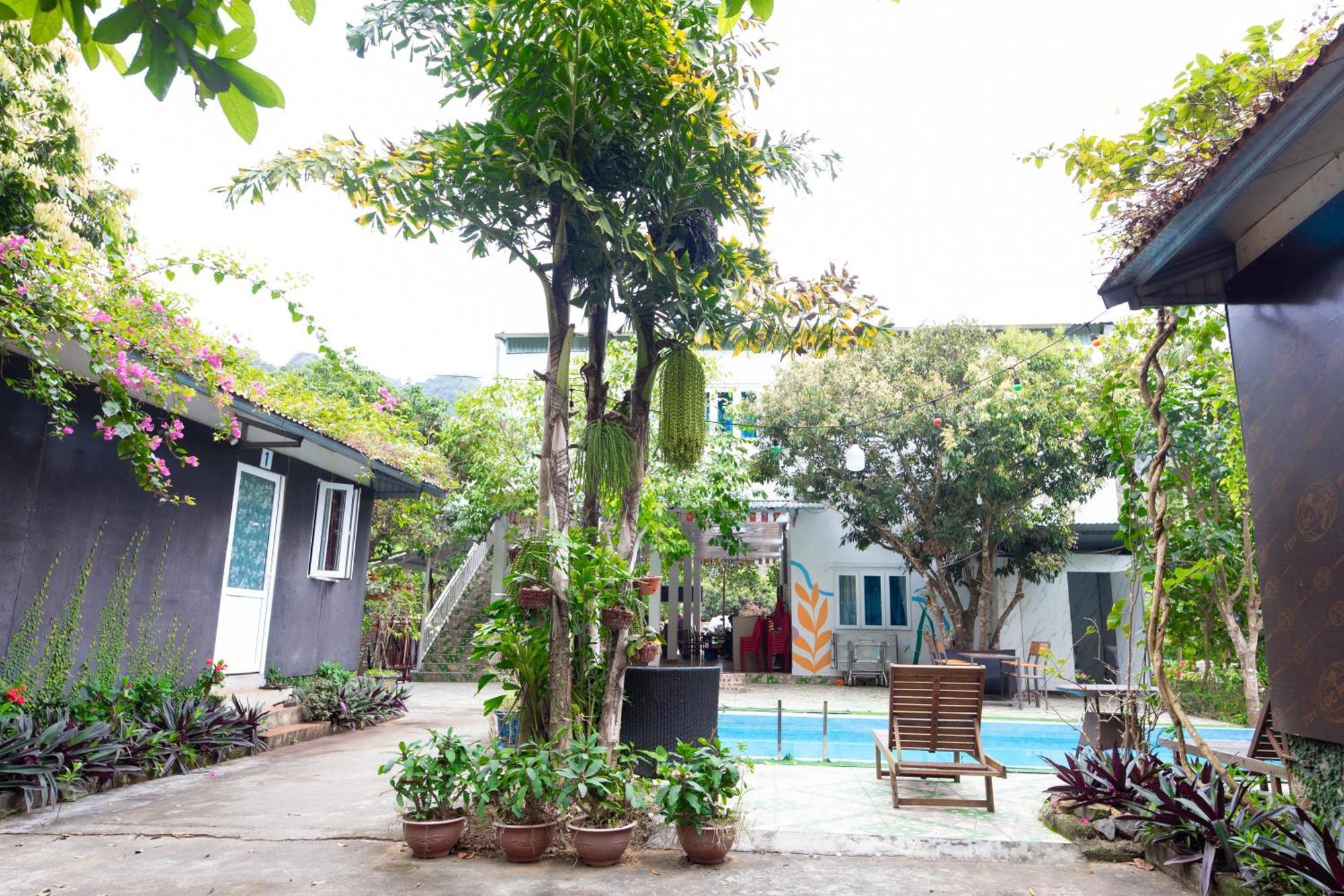 Cat Ba Countryside Homestay Dong Khe Sau Εξωτερικό φωτογραφία