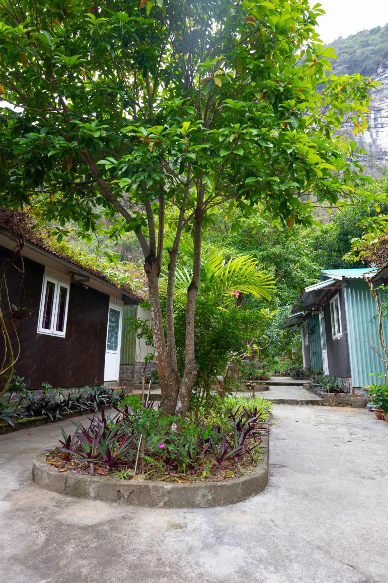 Cat Ba Countryside Homestay Dong Khe Sau Εξωτερικό φωτογραφία